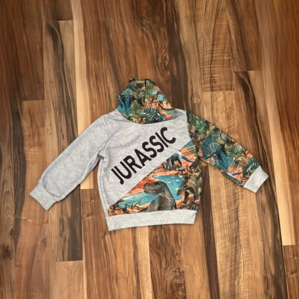 Jurassic Kids Gray and Multicolor Sweatshirt